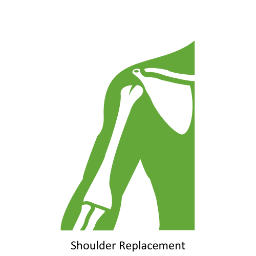 shoulder